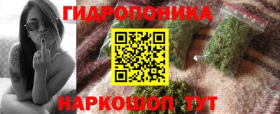 дживик Новозыбков
