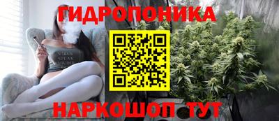 дживик Новозыбков