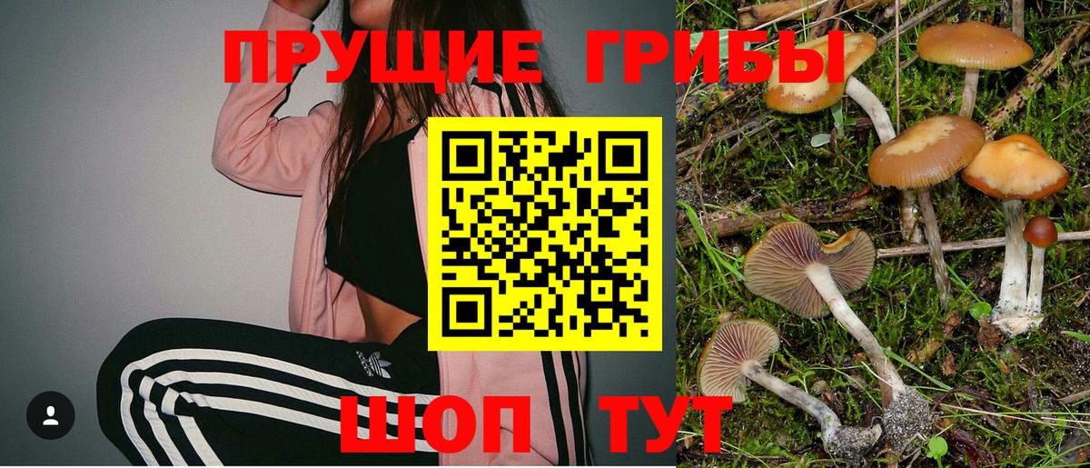 Галлюциногенные грибы MAGIC MUSHROOMS Рузаевка